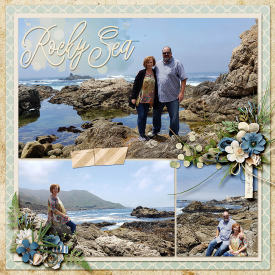 2019-07-26-beach-left-web.jpg