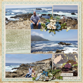 2019-07-26-beach-right-web.jpg