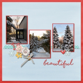 2019-Snow-Beautiful-L-web_2.jpg