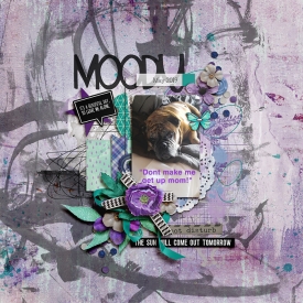 2019_5_Moody.jpg