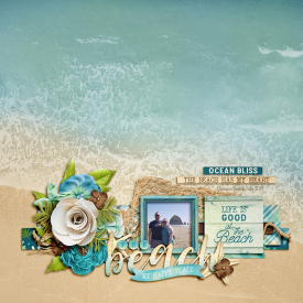 2019_7_thebeach_copy.jpg