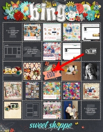 2019_DSDbingo-web1.jpg
