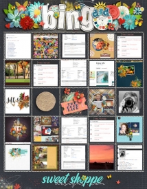 2019_DSDbingo5.jpg