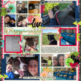 2019fam-192.jpg