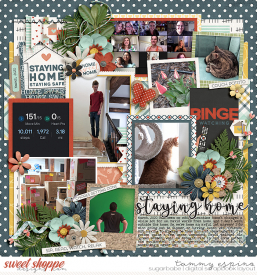 2020-03_pd-StayingHome_cs-PhotoPalooza44_web1.jpg