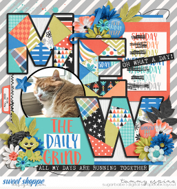 2020-05_mm-WhatDayIsIt_cs-HalfPack283_web1.jpg