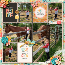 2020-06-27-Hallie-_-Horsies-web.jpg