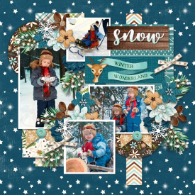 2020-11_-_tinci_-_d_cember_days_1_-_DSI_-_christmas_memoires-winter_wonder.jpg