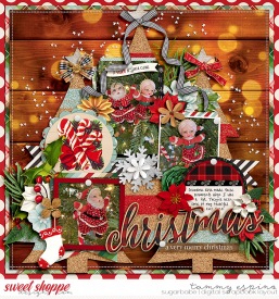2020-12_kcb-scacSantasWorkshop_cs-Set254_babe.jpg