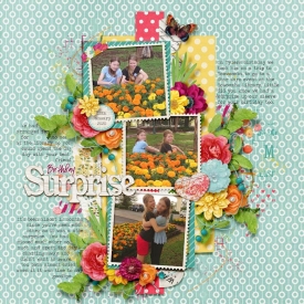 2020_01_18_Birthday-Surpris.jpg
