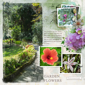 2020_11-Charleston-Magnolia_Flowers.jpg