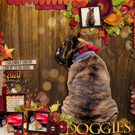 2020_4_Doggies_copy.jpg