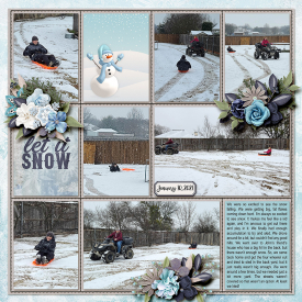 2021-01-10-Sledding-right-web.jpg