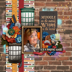 2021-07_Muggle_on_the_outside.jpg
