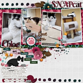2021_10_Chloe-Snap-cat-w-700px.jpg