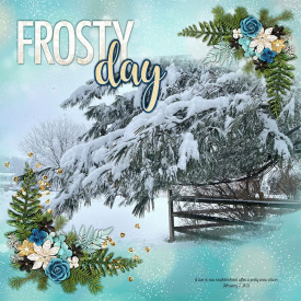 2021_feb_7_snowy_tree_kcb_city_sidewalks.jpg