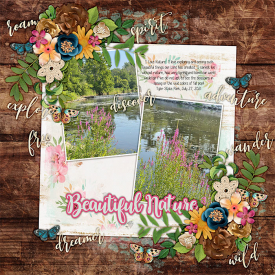 2021_july_27_beautiful_Nature_kcb_tb_wild_n_free.jpg