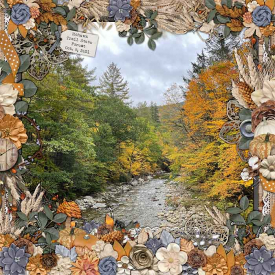 2021_oct_9_mohawk_trail_mc_fall_sweet_fall.jpg