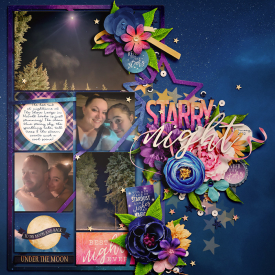 2022_2_Starry_Night_DSI.jpg