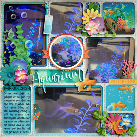 2022_5_Aquarium.jpg