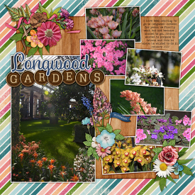 2022_january_longwood_kcb_wildflowers.jpg