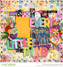 2023-10_ssd-EveryLittleThing_ay-Quirky27_babe.jpg