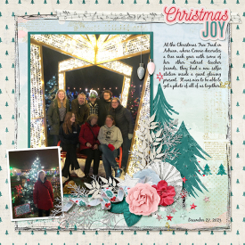 2023-12-27-christmas-tree-trail.jpg