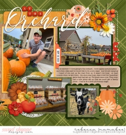 2023_9_30-the-orchard-cschneider-DTF29_right.jpg