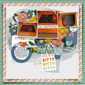 2024-08-Cat-Tent.jpg