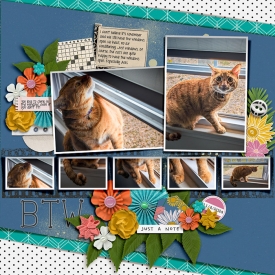 2024-11-Window-Cat-Ares-copy.jpg