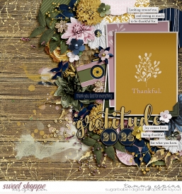 2024-11_ck-PracticingGratitude_fdd-CircleHarmony_babe.jpg