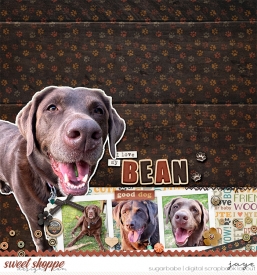 20240803-WetNoseWarmHeart_Blago.jpg