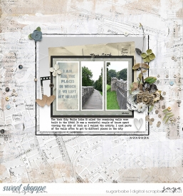 20241005_DSD-sketch.jpg