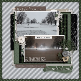 2025-01-Winter-Photos-copy.jpg