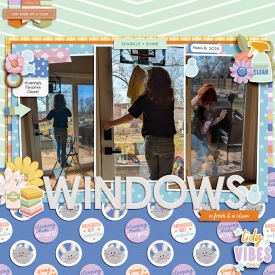 2025-03-WashWindows-copy.jpg