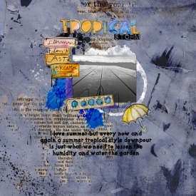 2025-February-Tropical-Storm.jpg