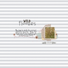 2025-February-wild-flowers.jpg