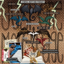 2025_0312_JustOneMorePage-OnyxStorm-w-700px.jpg