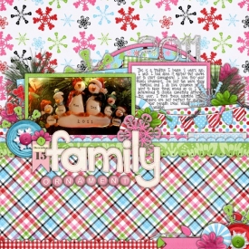 22-familyornament-dec15.jpg