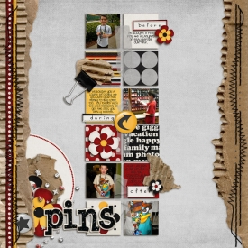 25-pins-700.jpg