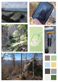 2505-ssdchall-moodboard-gcs.jpg