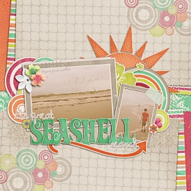 26-seashell-search-700.jpg