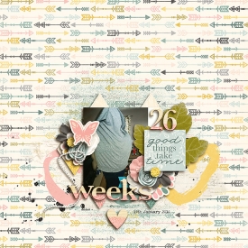 26Weeks700.jpg