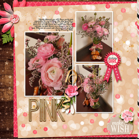 26_Photography-Web.jpg