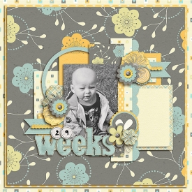 29Weeks-700.jpg