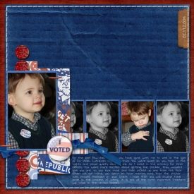 2_17_2009-I-voted.jpg