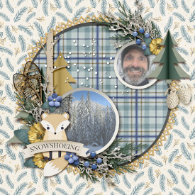 2a_tnp-winterwoods-pd1_collab_LJS_Barbara_700.jpg