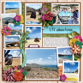 3-21UTV1-copy.jpg