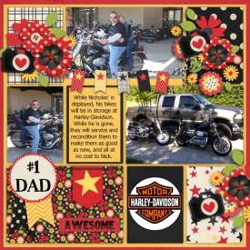 34_20180207_nicks_bikes_Custom_.jpg