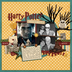 39-Harry-Potter-ssd.jpg